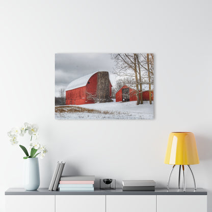 U R There Photography Catlin Reds in Winter I Rustic Farmhouse Acrylic Wall Print