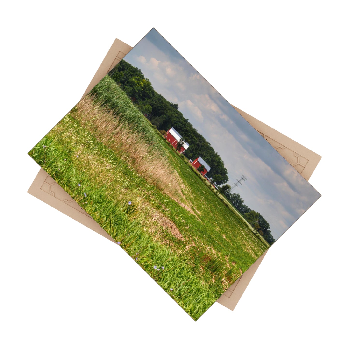 U R There Photography Across the Field in Elba II Rustic Farmhouse Decorative Ceramic Tile