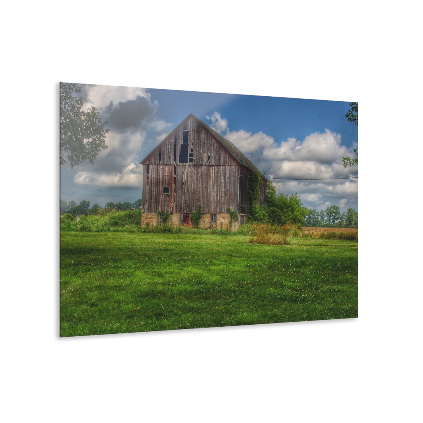U R There Photography Bohms Road Grey II Rustic Farmhouse Acrylic Wall Print