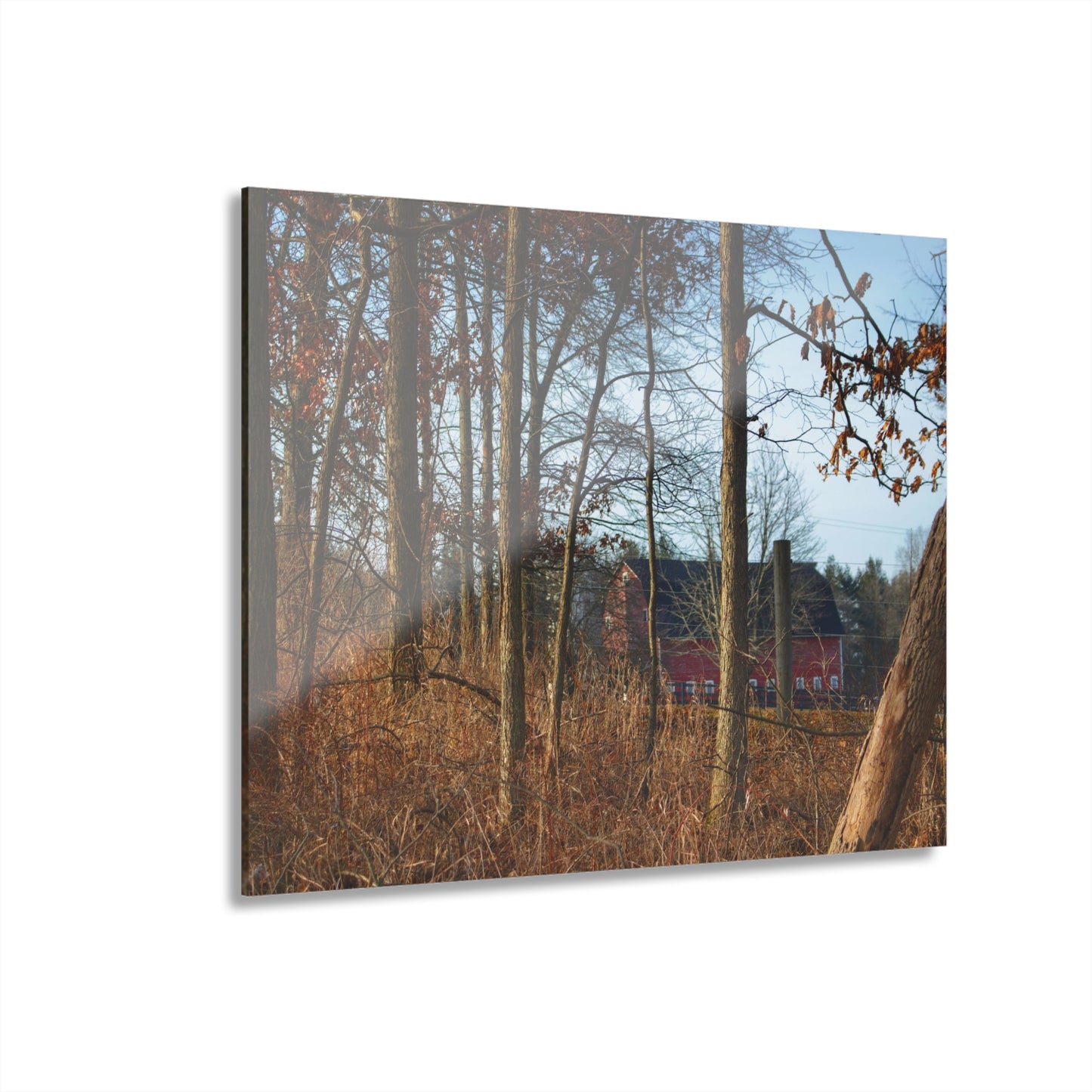 U R There Photography Blood Road Red II Rustic Farmhouse Acrylic Wall Print