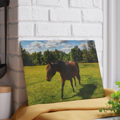 U R There Photography Brown Beauty II Rustic Farmhouse Tempered-Glass Cutting Board