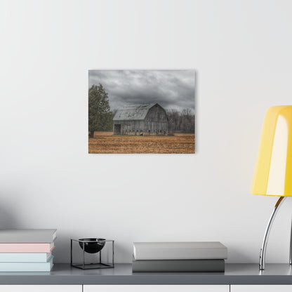 U R There Photography Grey Barn and Tree Rustic Farmhouse Acrylic Wall Print