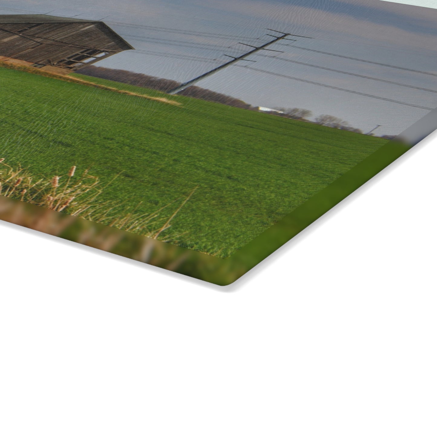 U R There Photography McAlpine Grey Rustic Farmhouse Tempered-Glass Cutting Board