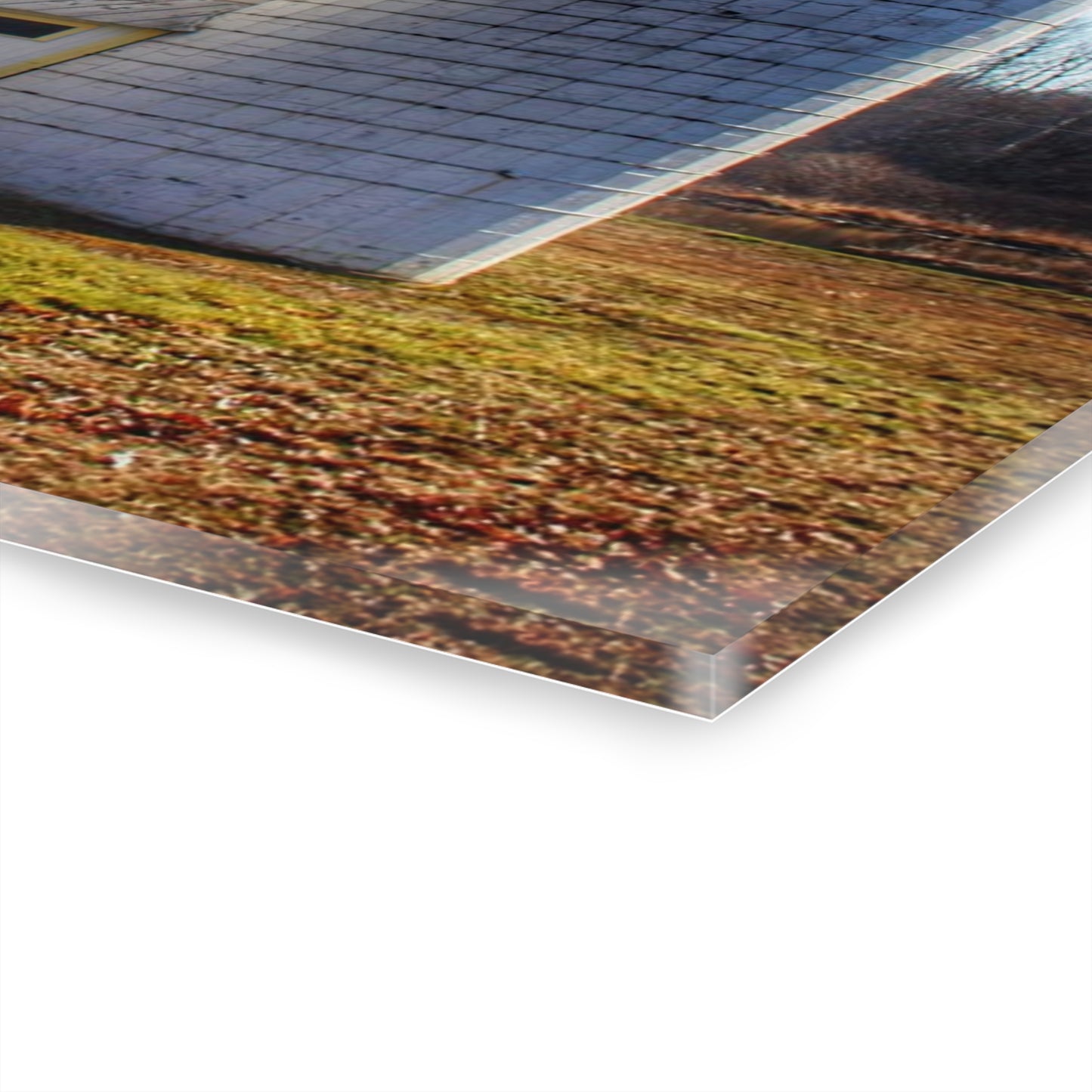 U R There Photography Elba White Rustic Farmhouse Acrylic Wall Print