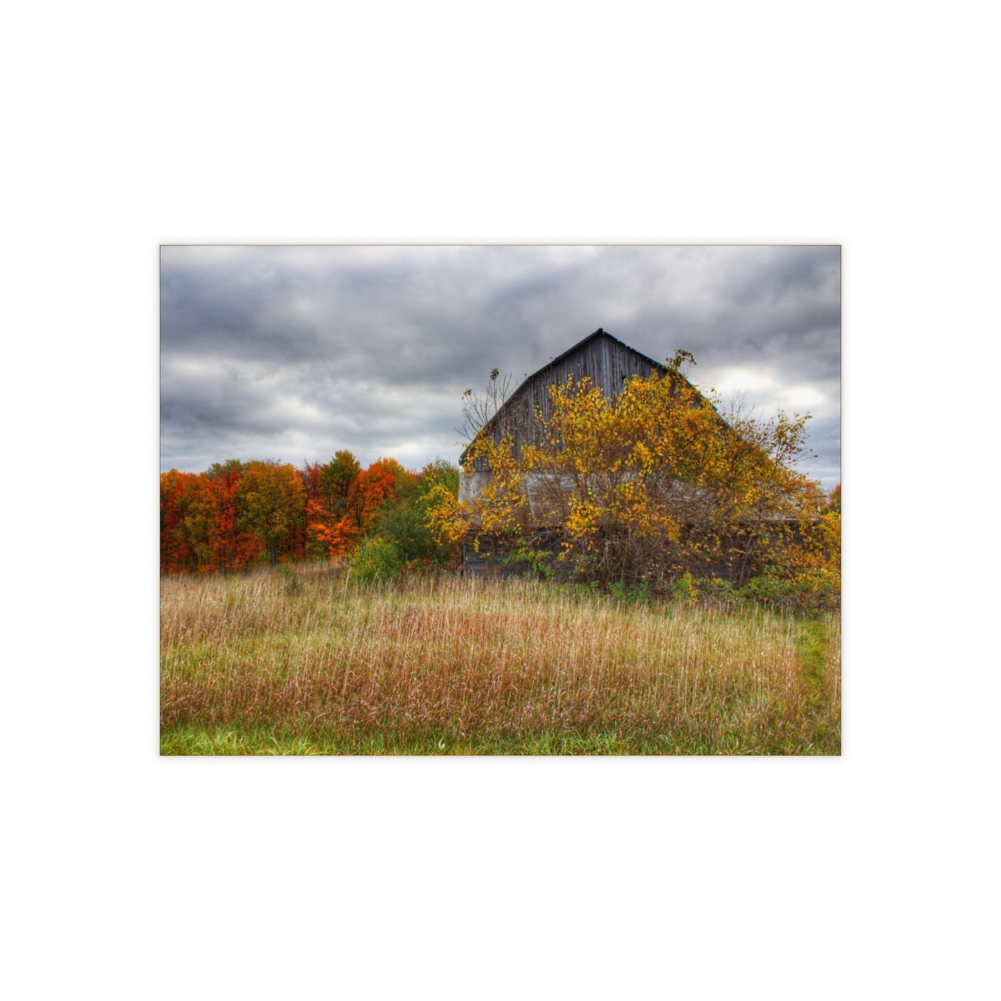 U R There Photography Church Road Grey III Rustic Farmhouse Decorative Ceramic Tile