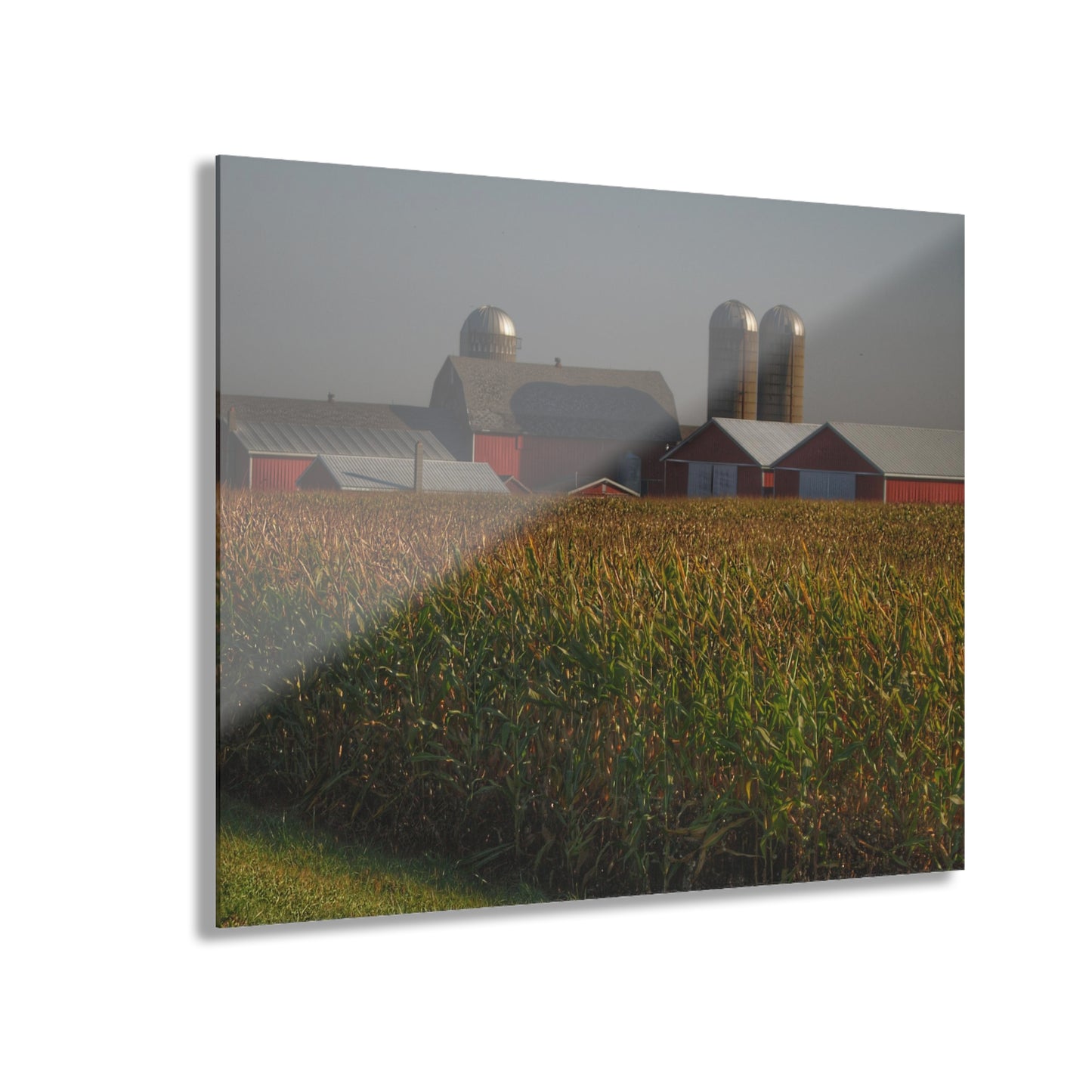 U R There Photography Slattery Road Farm and Cornfield II Rustic Farmhouse Acrylic Wall Print