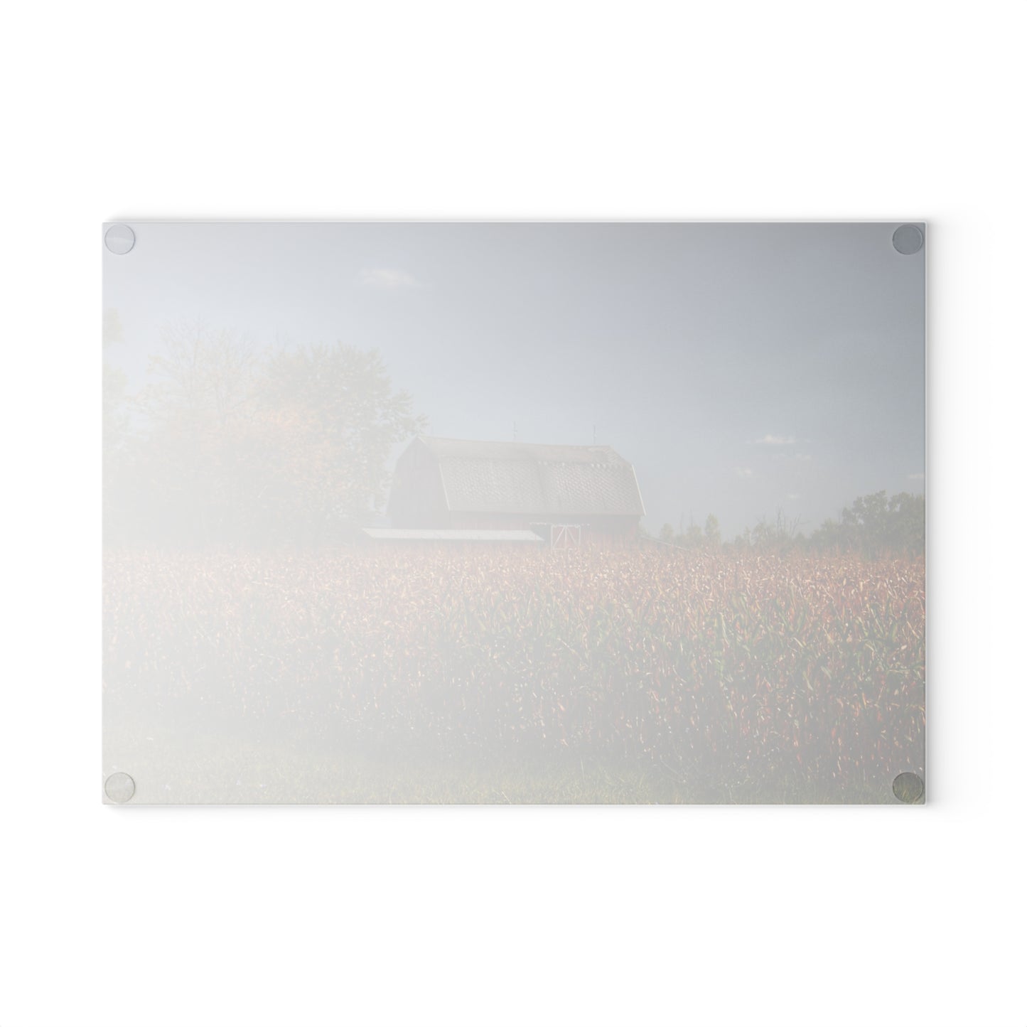 U R There Photography Clifford Road Red III Rustic Farmhouse Tempered-Glass Cutting Board