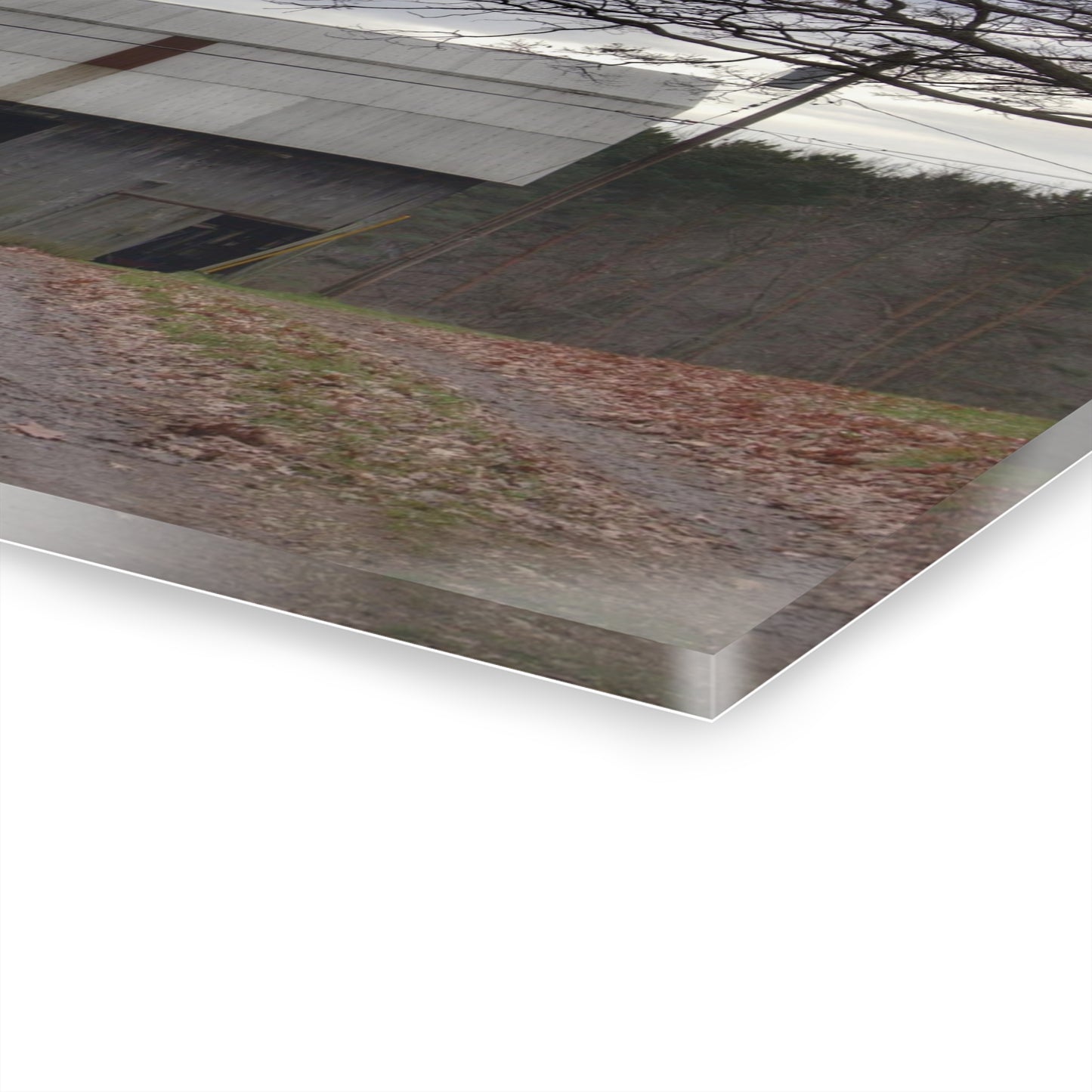 U R There Photography Grey Horse Barn Rustic Farmhouse Acrylic Wall Print