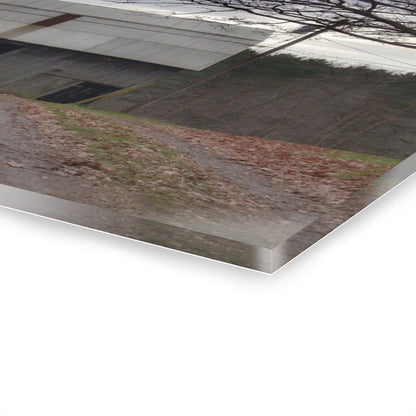 U R There Photography Grey Horse Barn Rustic Farmhouse Acrylic Wall Print