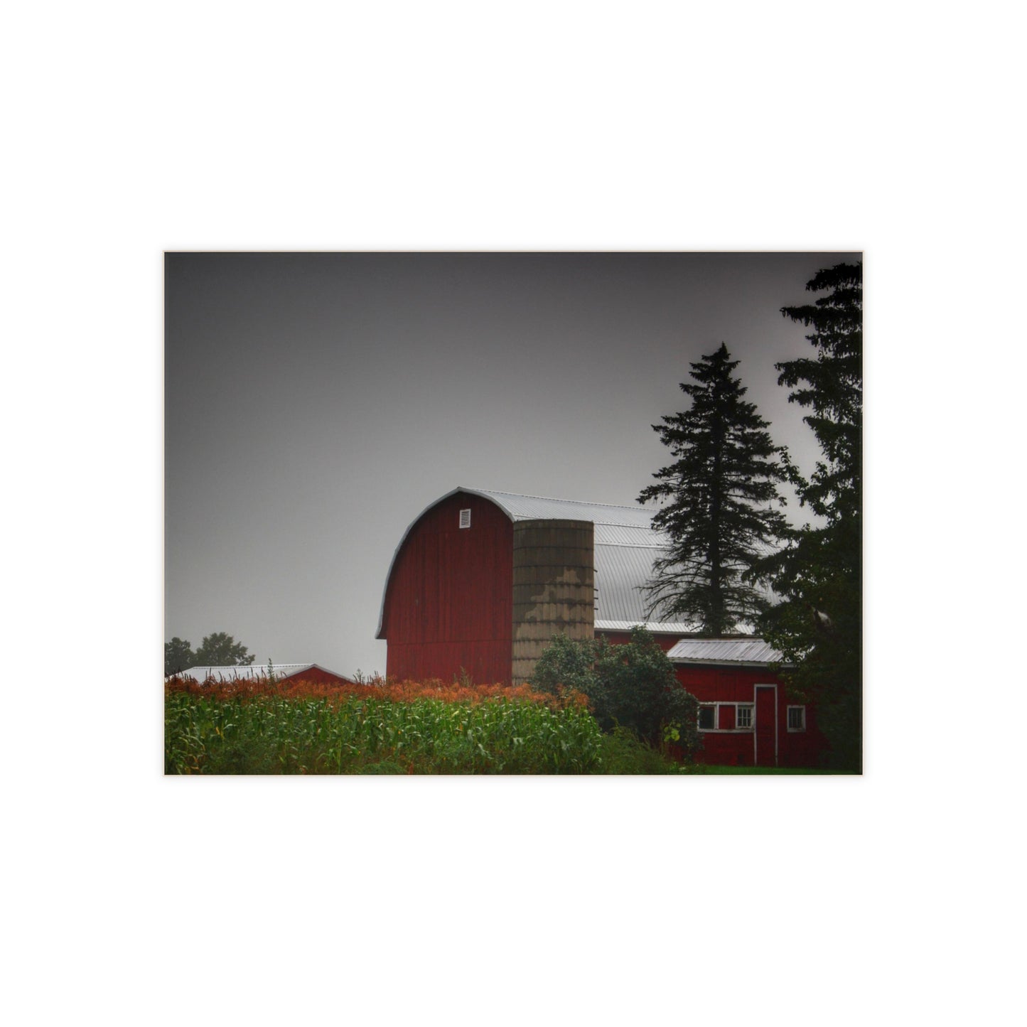U R There Photography Beyond the Fog on Haines Rustic Farmhouse Decorative Ceramic Tile