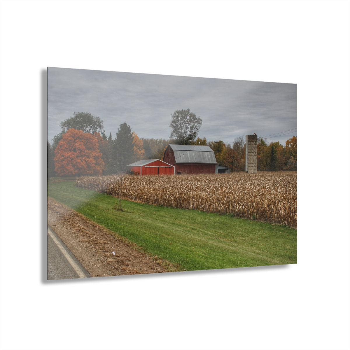 Birch Run Road Reds | Wall Prints