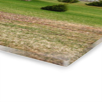 U R There Photography Millington Road Stone Grey Rustic Farmhouse Acrylic Wall Print