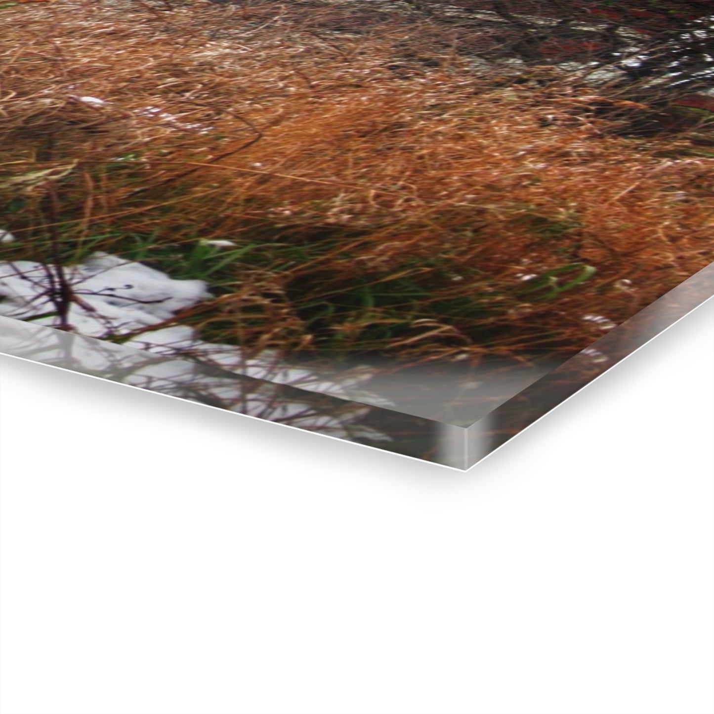 U R There Photography Noble Road Red Rustic Farmhouse Acrylic Wall Print