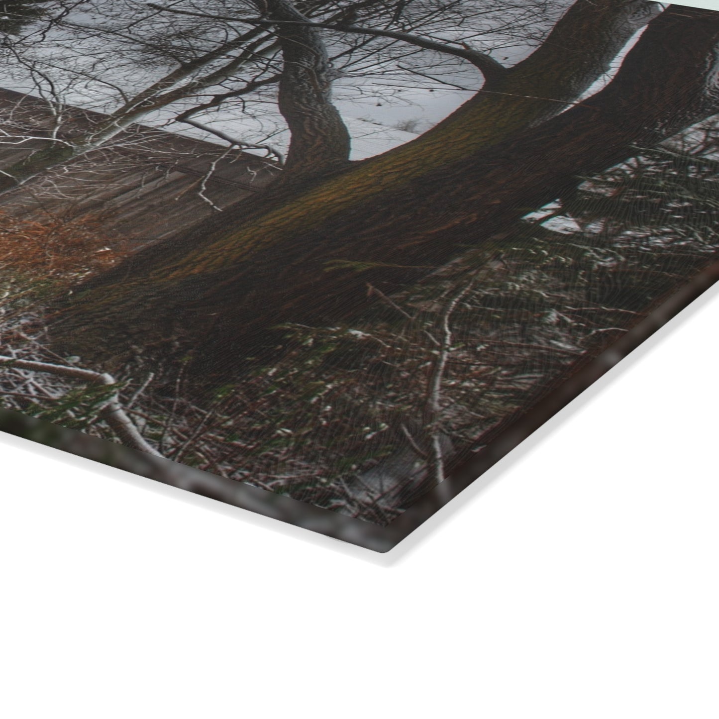 U R There Photography Willard Road Hidden Grey Rustic Farmhouse Tempered-Glass Cutting Board