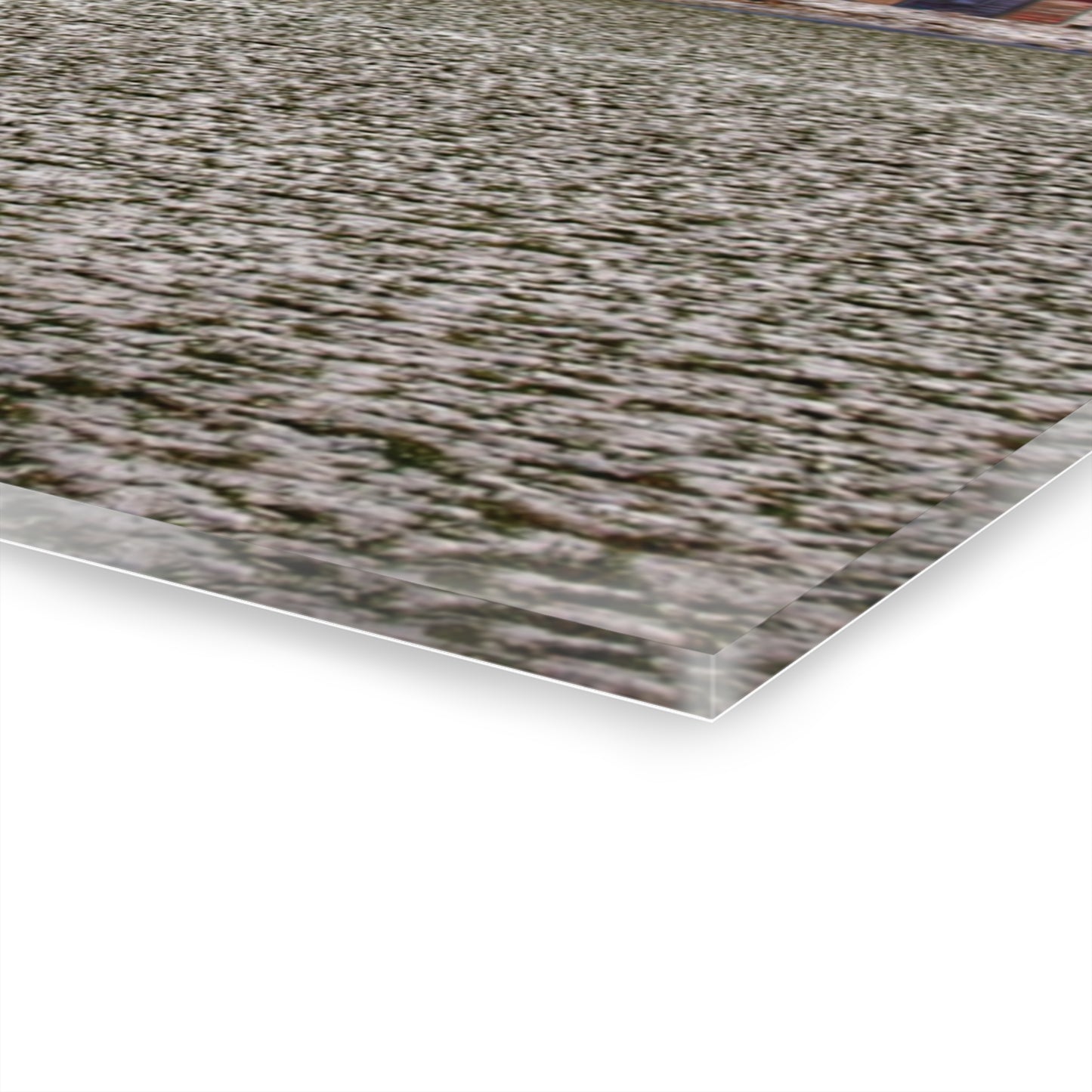 U R There Photography Early Spring Red I Rustic Farmhouse Acrylic Wall Print