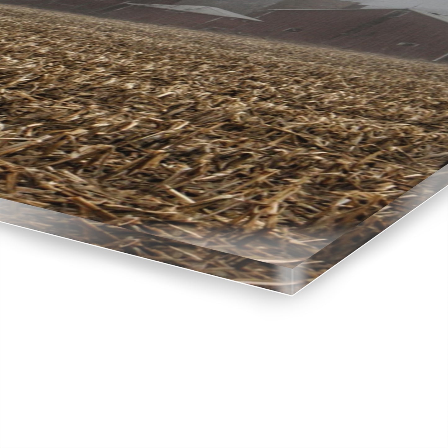 U R There Photography Farm in the Fog on Barnes Road Rustic Farmhouse Acrylic Wall Print