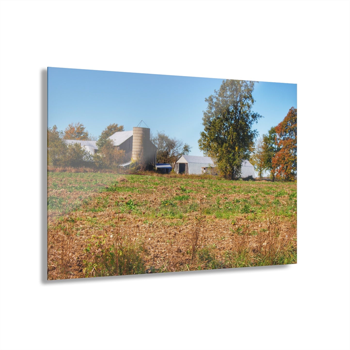 U R There Photography Freiberger Road Greys Rustic Farmhouse Acrylic Wall Print