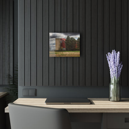 U R There Photography Laur Road Red Among the Pines II Rustic Farmhouse Acrylic Wall Print