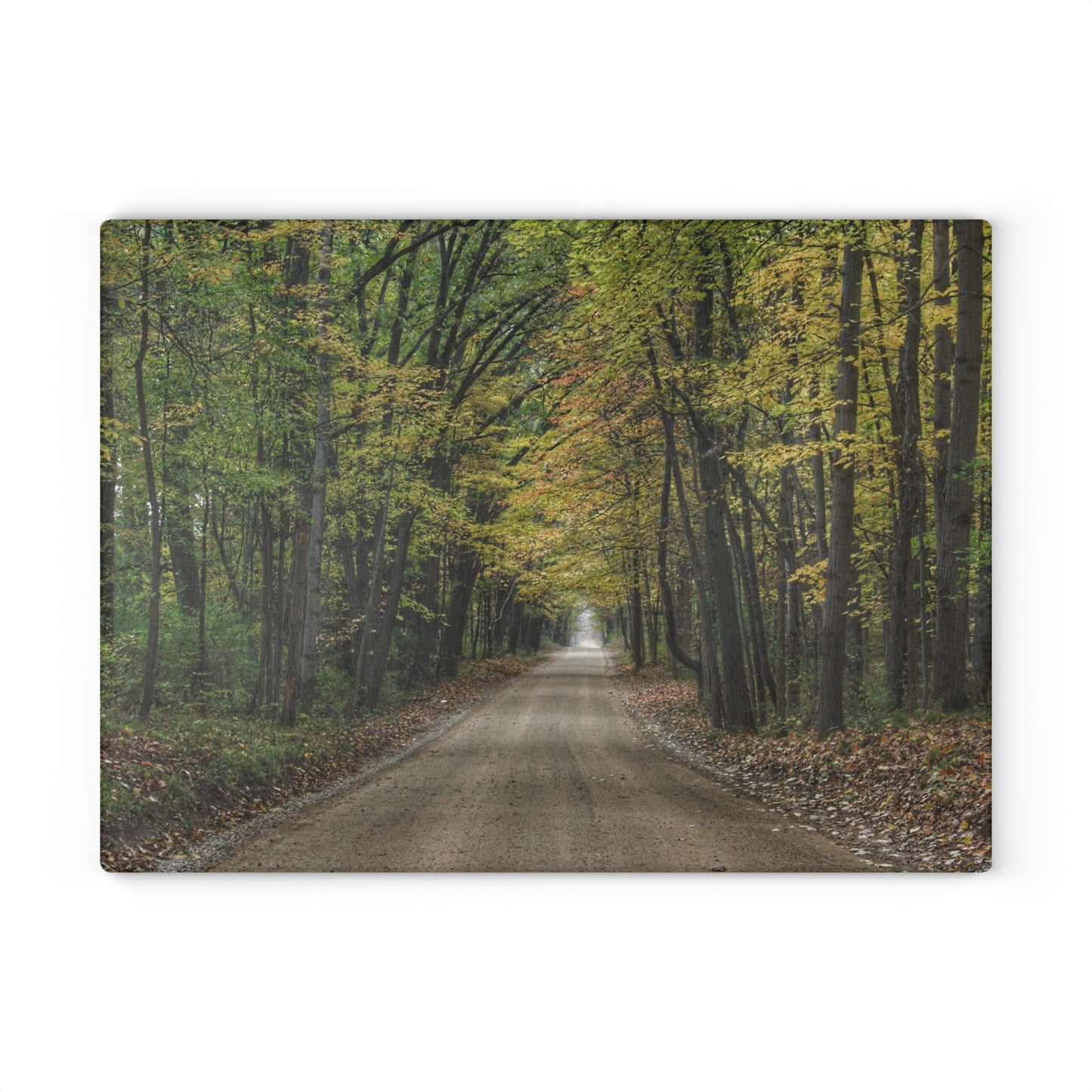 U R There Photography Country Roads in Dryden IV Rustic Farmhouse Tempered-Glass Cutting Board