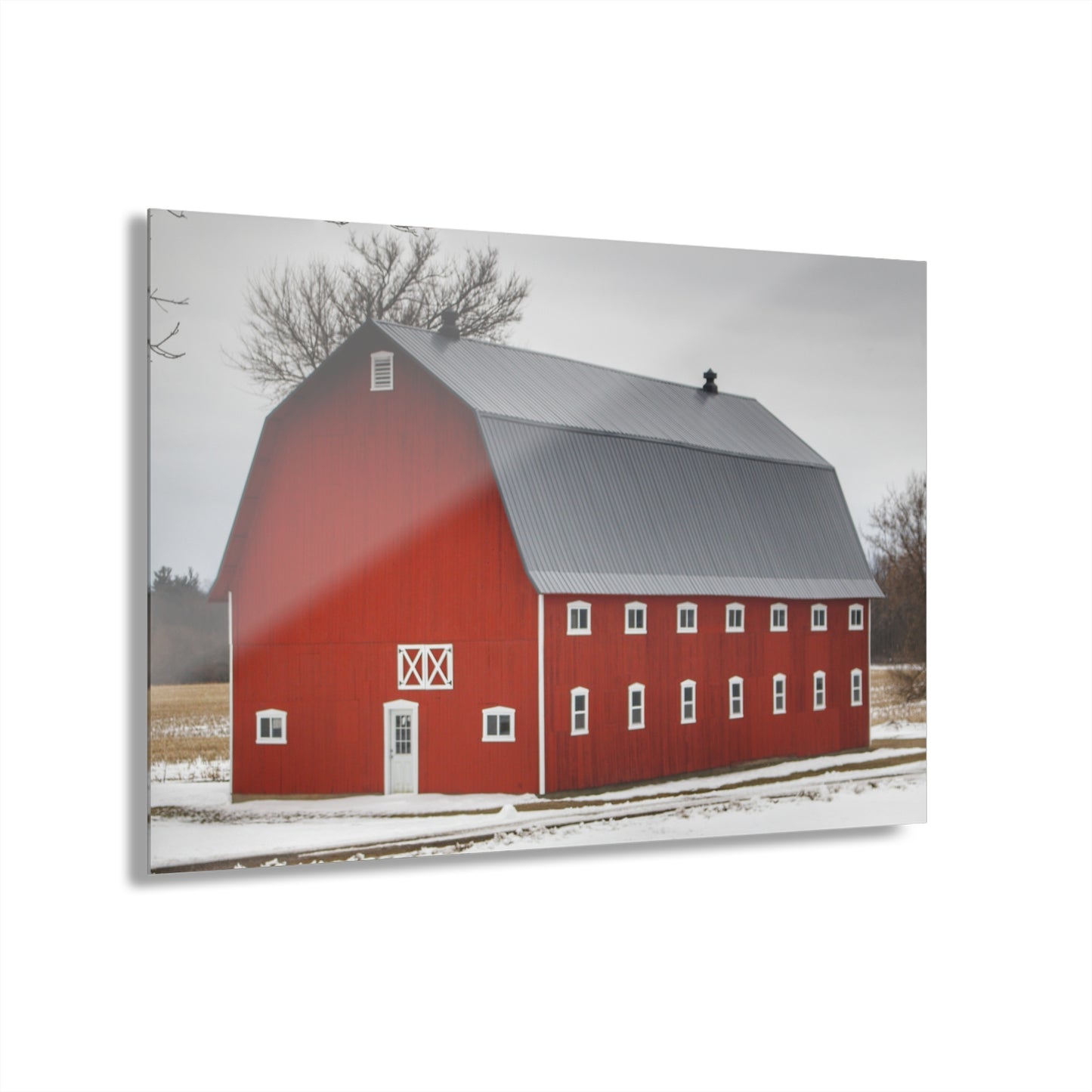 U R There Photography Hollow Corners Red Tree Silo II Rustic Farmhouse Acrylic Wall Print