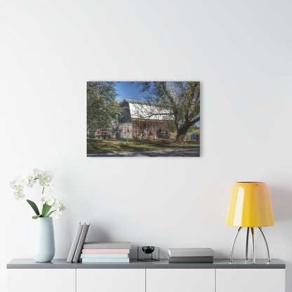 U R There Photography Birch Run Road Grey Rustic Farmhouse Acrylic Wall Print