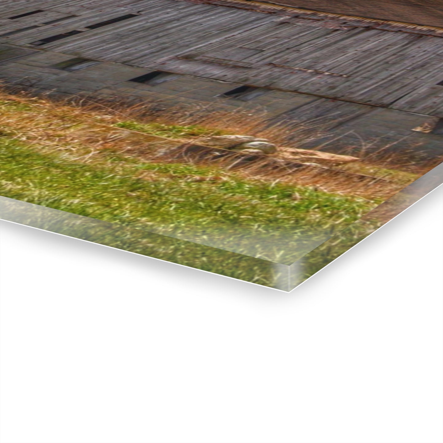 U R There Photography Metamora M-24 Grey III Rustic Farmhouse Acrylic Wall Print