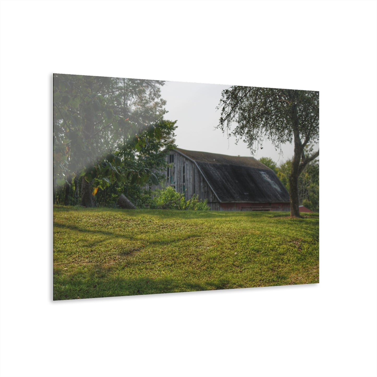 U R There Photography Hidden on Schott Road Rustic Farmhouse Acrylic Wall Print