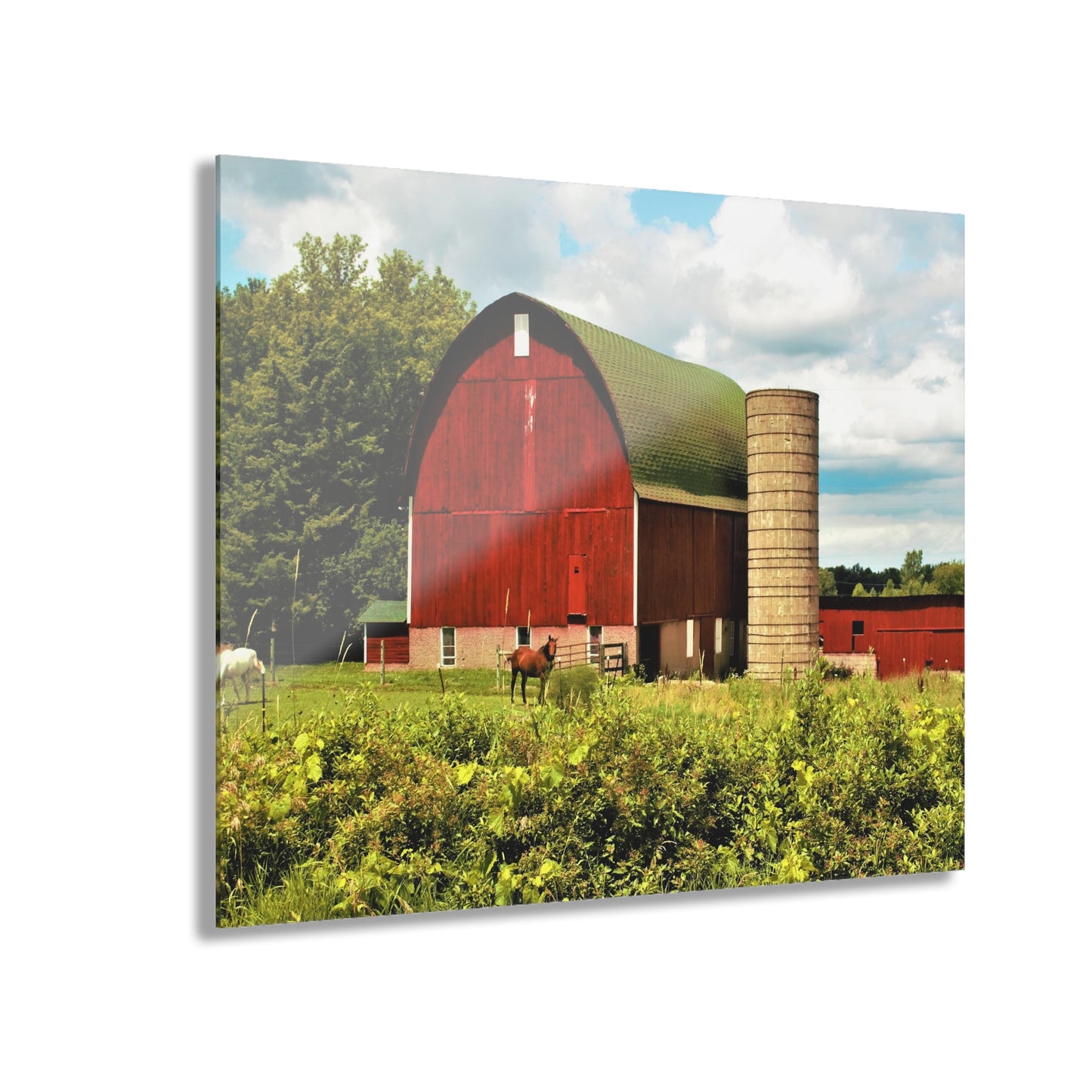 U R There Photography Elmwood Road Red and Horses Rustic Farmhouse Acrylic Wall Print