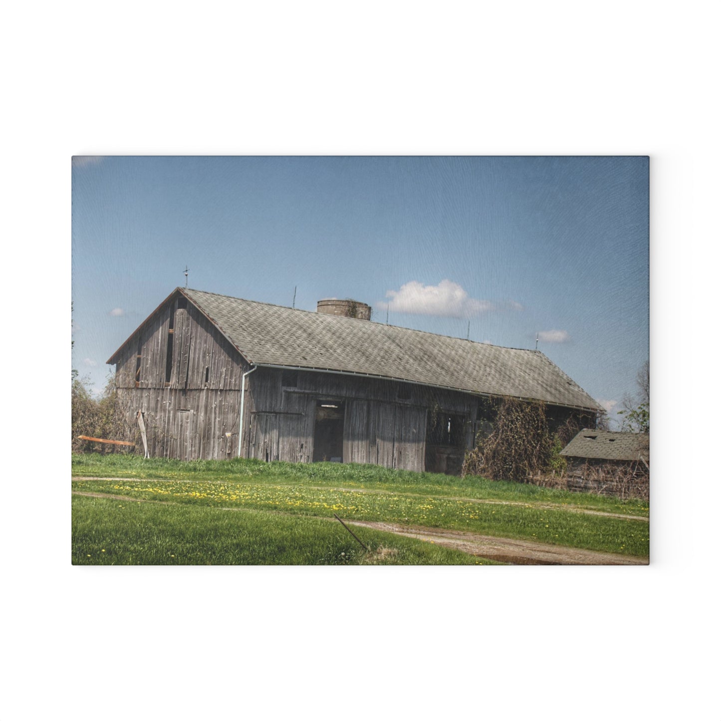 U R There Photography Wilder Road Grey II Rustic Farmhouse Tempered-Glass Cutting Board
