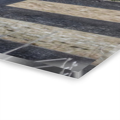 U R There Photography Hosner Road Chestnut Rustic Farmhouse Acrylic Wall Print