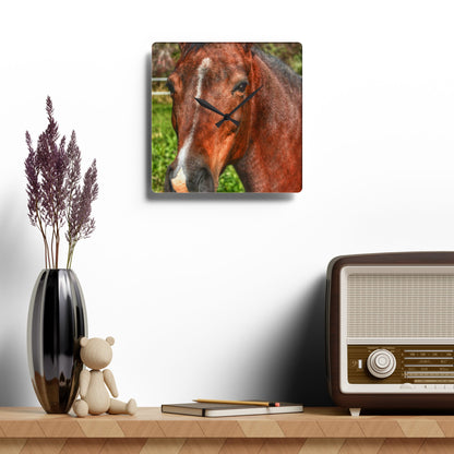 U R There Photography Irish Road Brownie Rustic Farmhouse Acrylic Analog Wall Clock