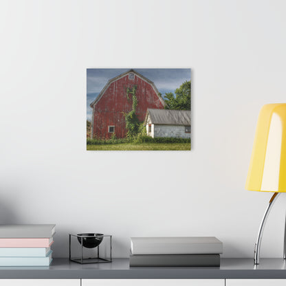 U R There Photography Stanley Road Red in Summer II Rustic Farmhouse Acrylic Wall Print