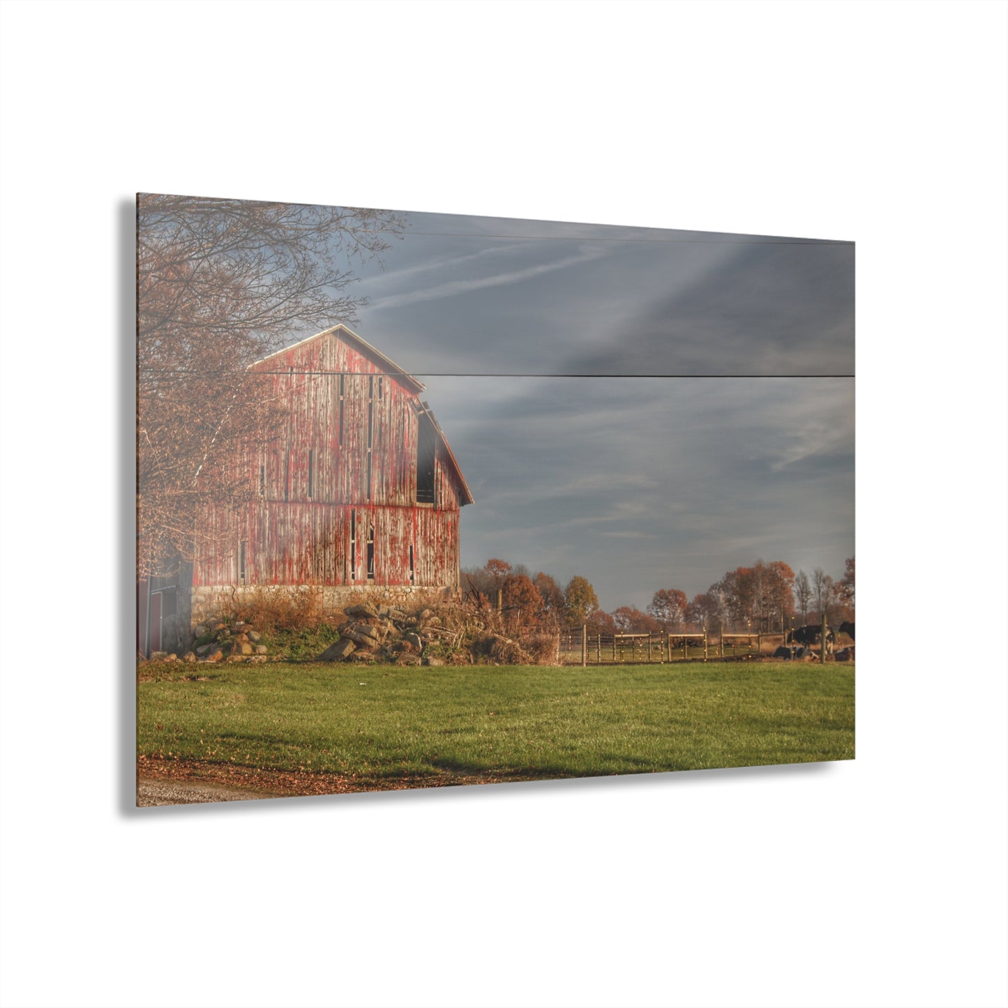 U R There Photography Marathon Road Red Cow Barn Rustic Farmhouse Acrylic Wall Print