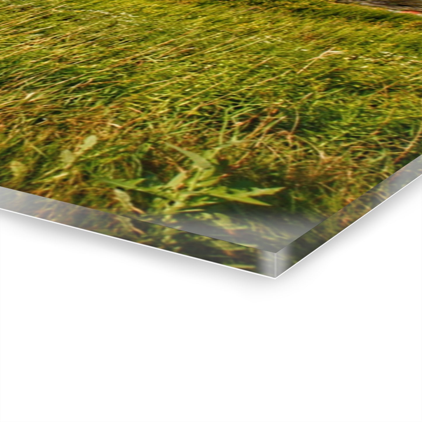 U R There Photography Morrish Road Silos II Rustic Farmhouse Acrylic Wall Print