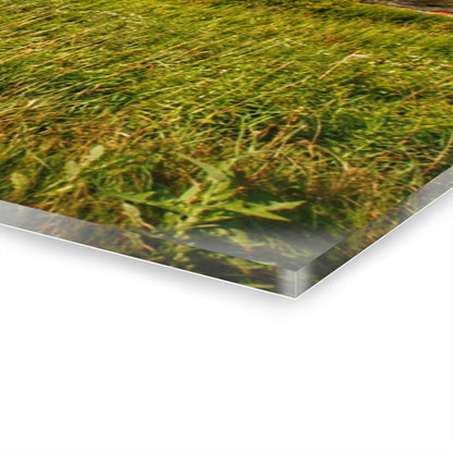 U R There Photography Morrish Road Silos II Rustic Farmhouse Acrylic Wall Print