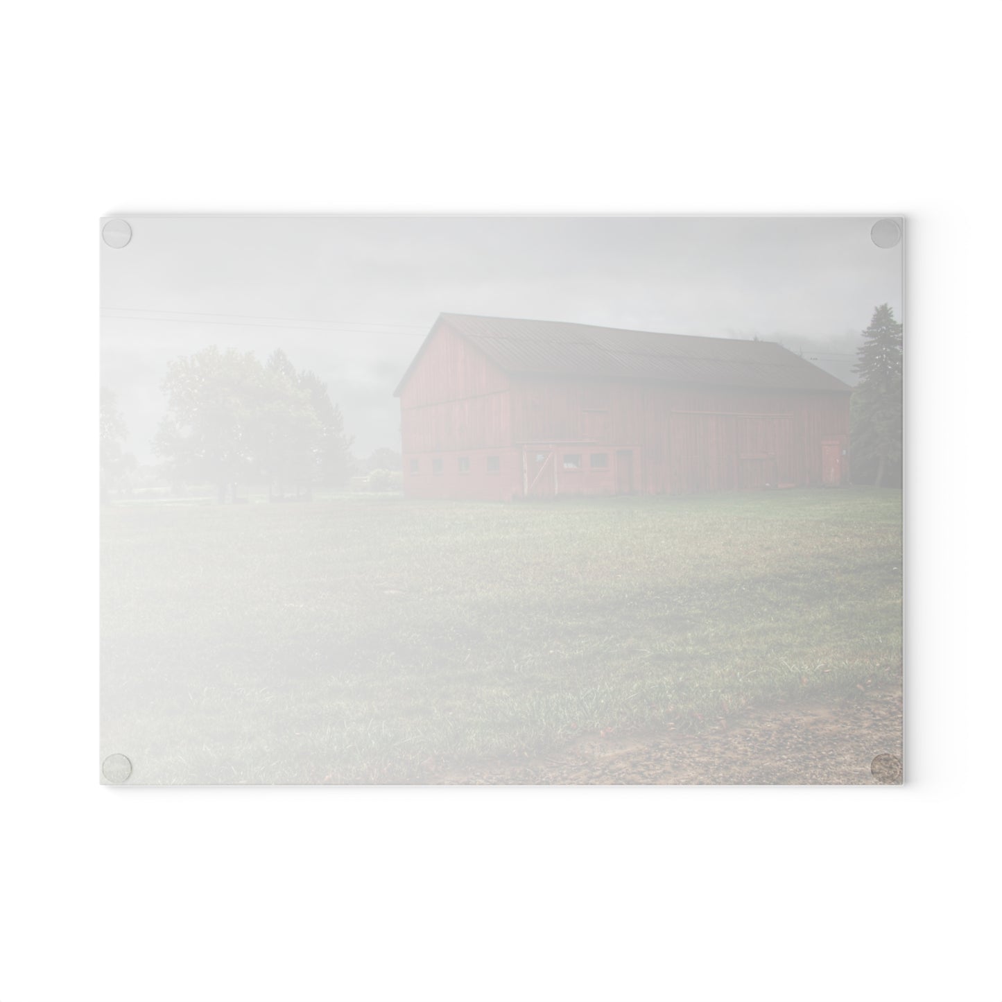 U R There Photography Birch Road Red Rustic Farmhouse Tempered-Glass Cutting Board