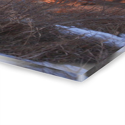 U R There Photography Early Spring on Mount Morris Road Rustic Farmhouse Acrylic Wall Print