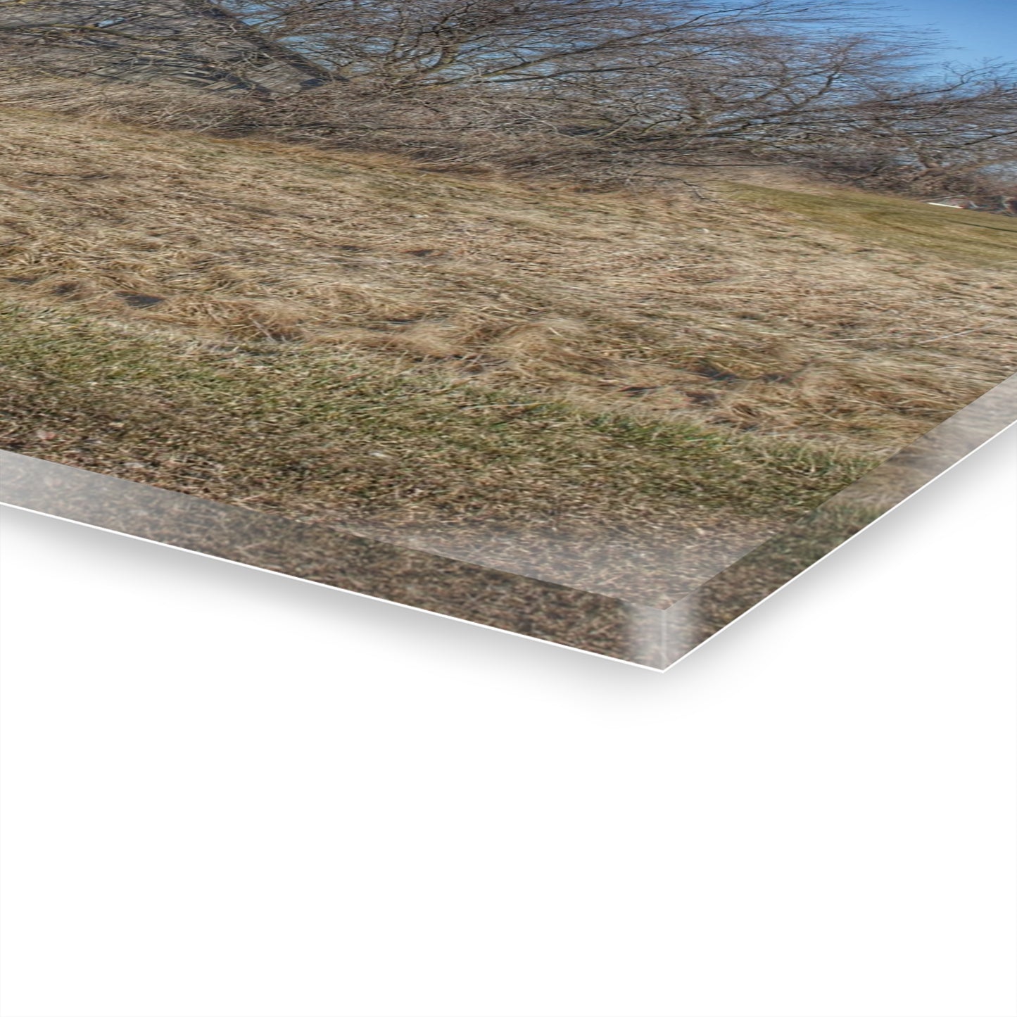 U R There Photography Fargo Road Forgotten Rustic Farmhouse Acrylic Wall Print