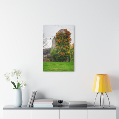 U R There Photography Ludwig Road Oxford Grey and Silo Rustic Farmhouse Acrylic Wall Print