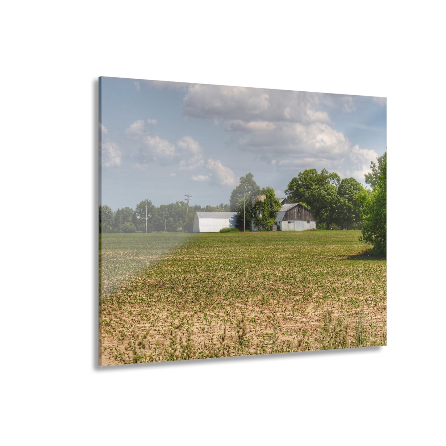 U R There Photography Willard Road White Rustic Farmhouse Acrylic Wall Print
