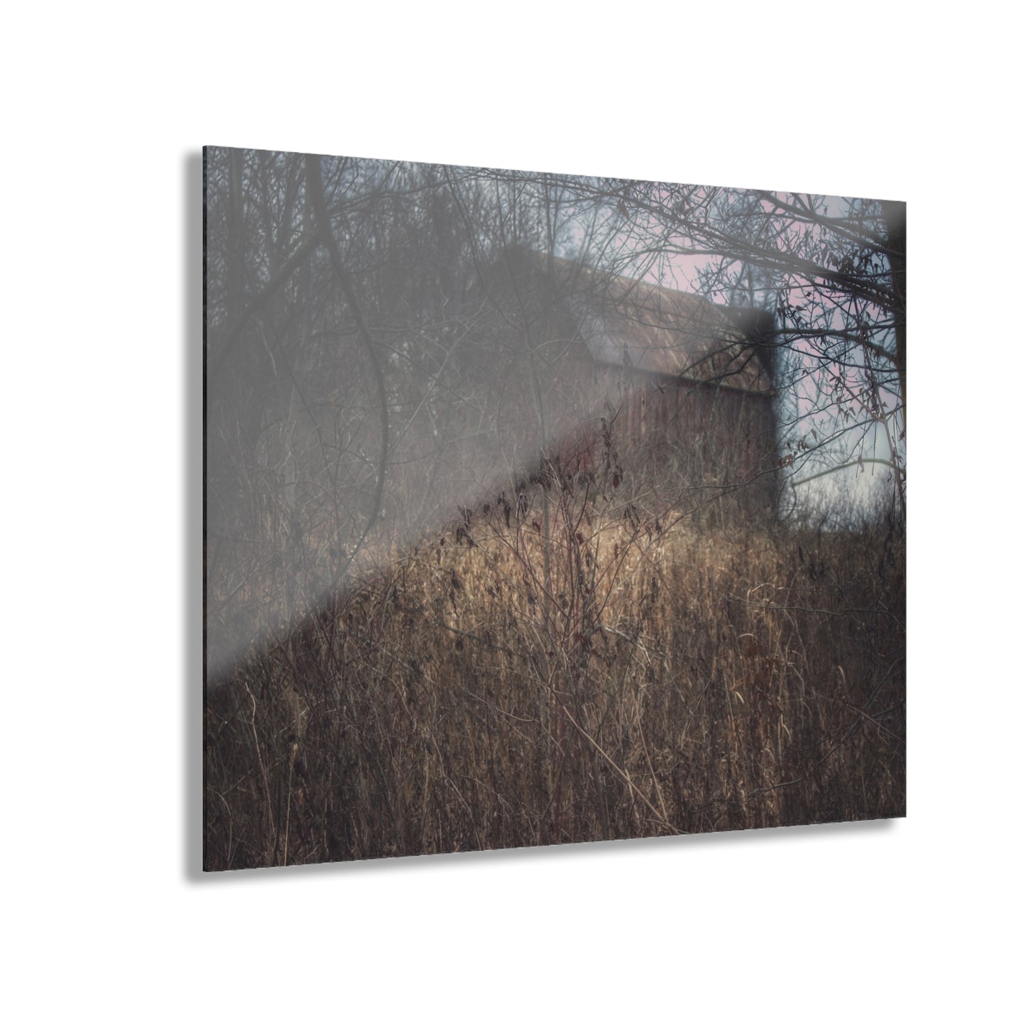 U R There Photography Mayville Hidden Barn I Rustic Farmhouse Acrylic Wall Print