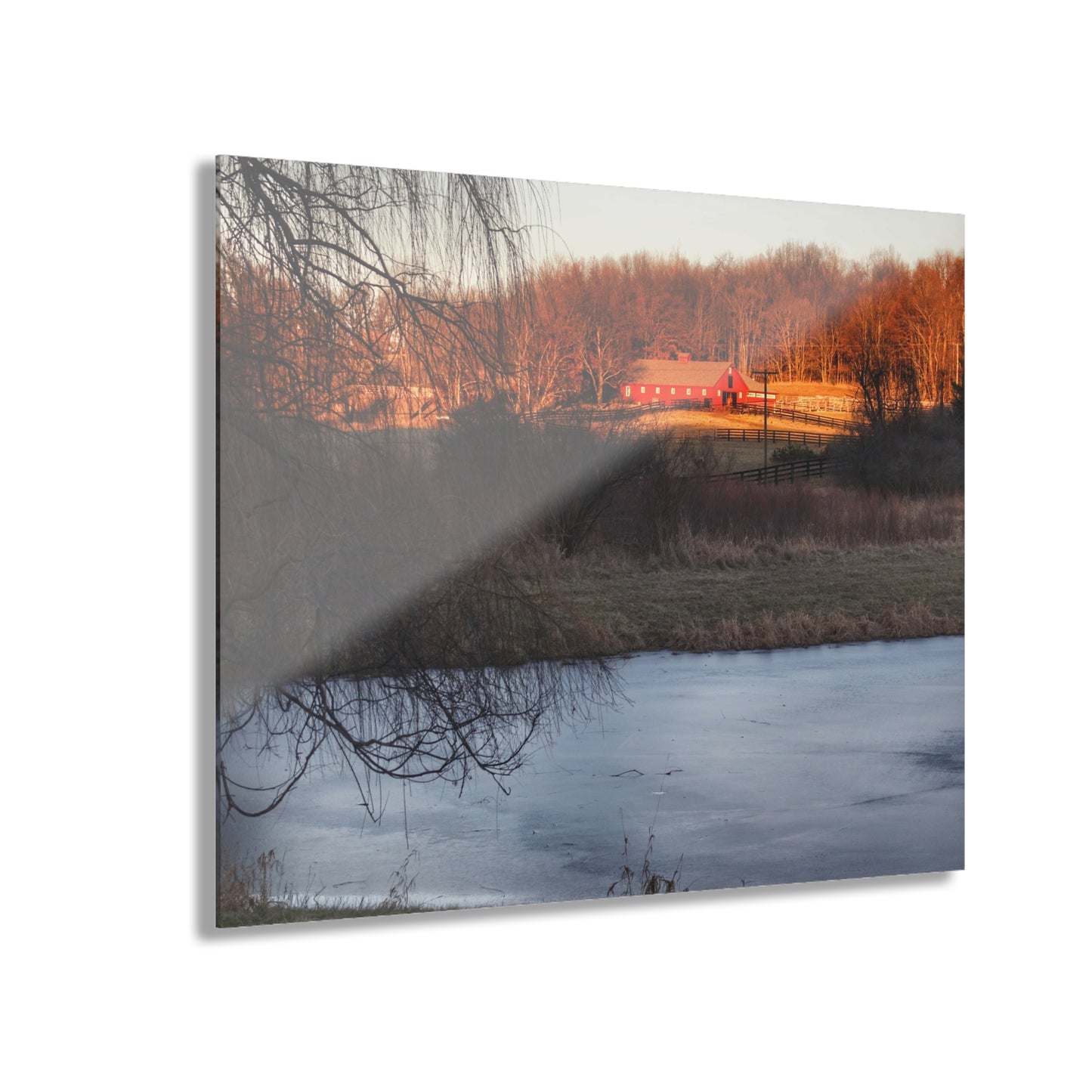 U R There Photography Hidden in Leonard Rustic Farmhouse Acrylic Wall Print