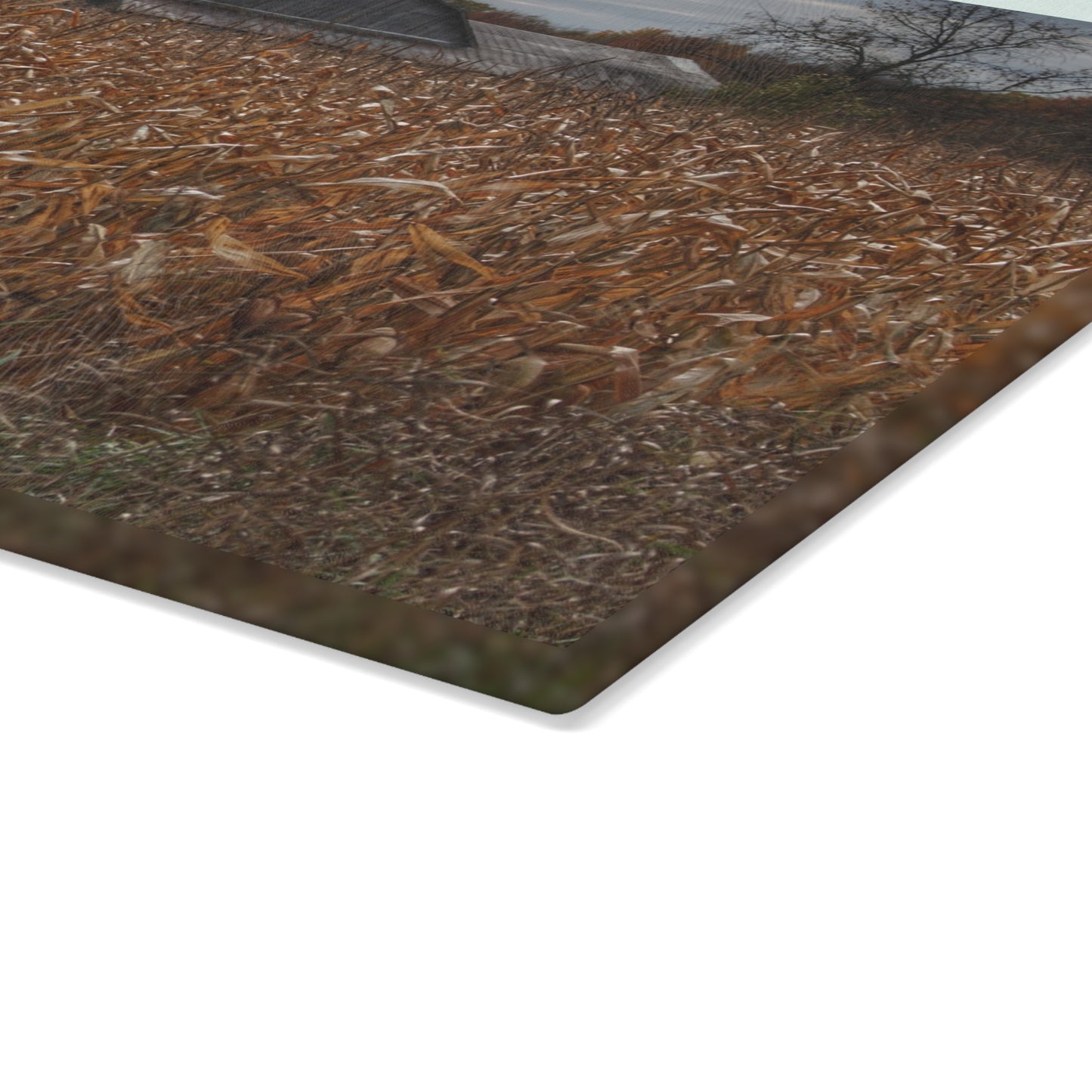 U R There Photography North State Road Grey Rustic Farmhouse Tempered-Glass Cutting Board 8"x 11"