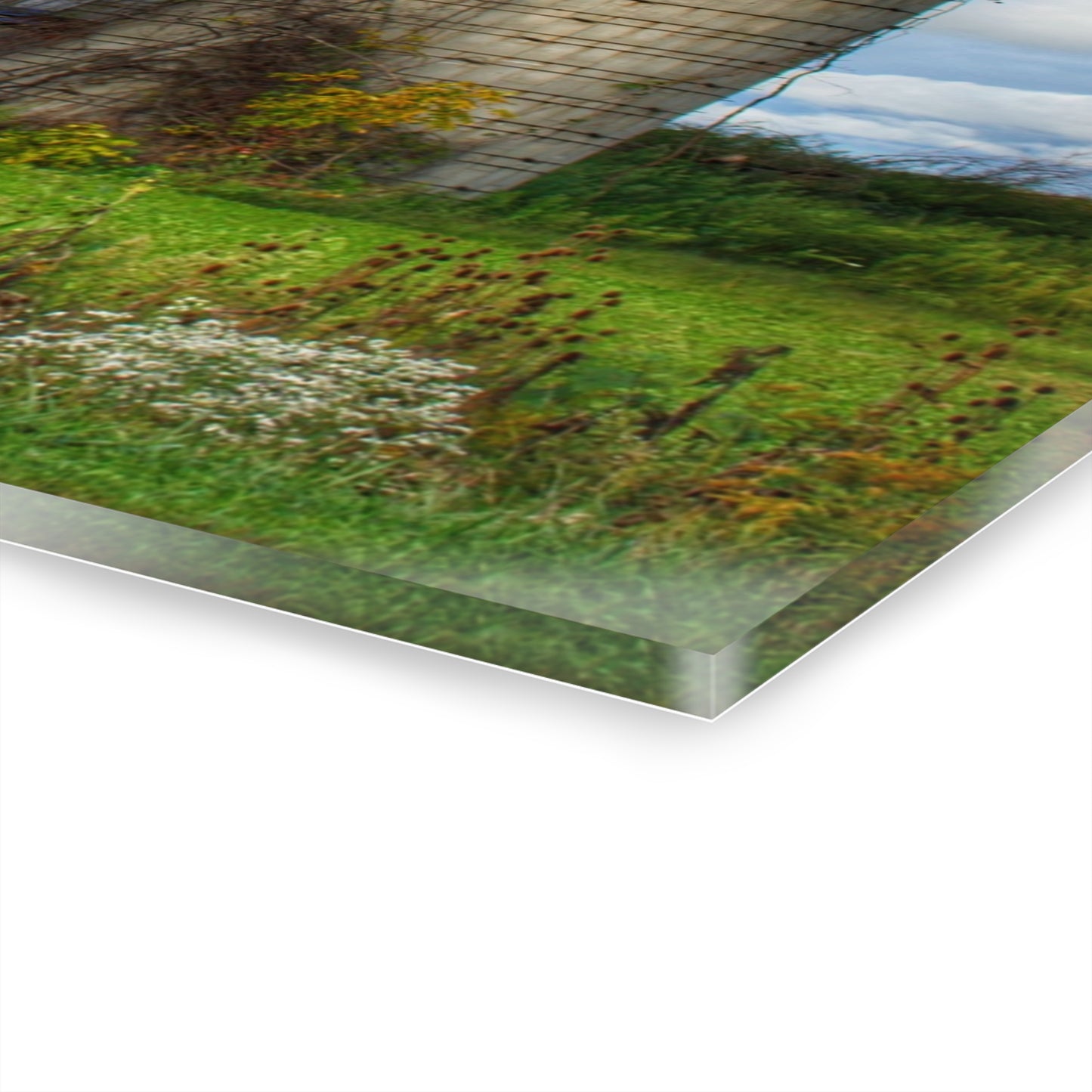 U R There Photography North Irish Red II Rustic Farmhouse Acrylic Wall Print