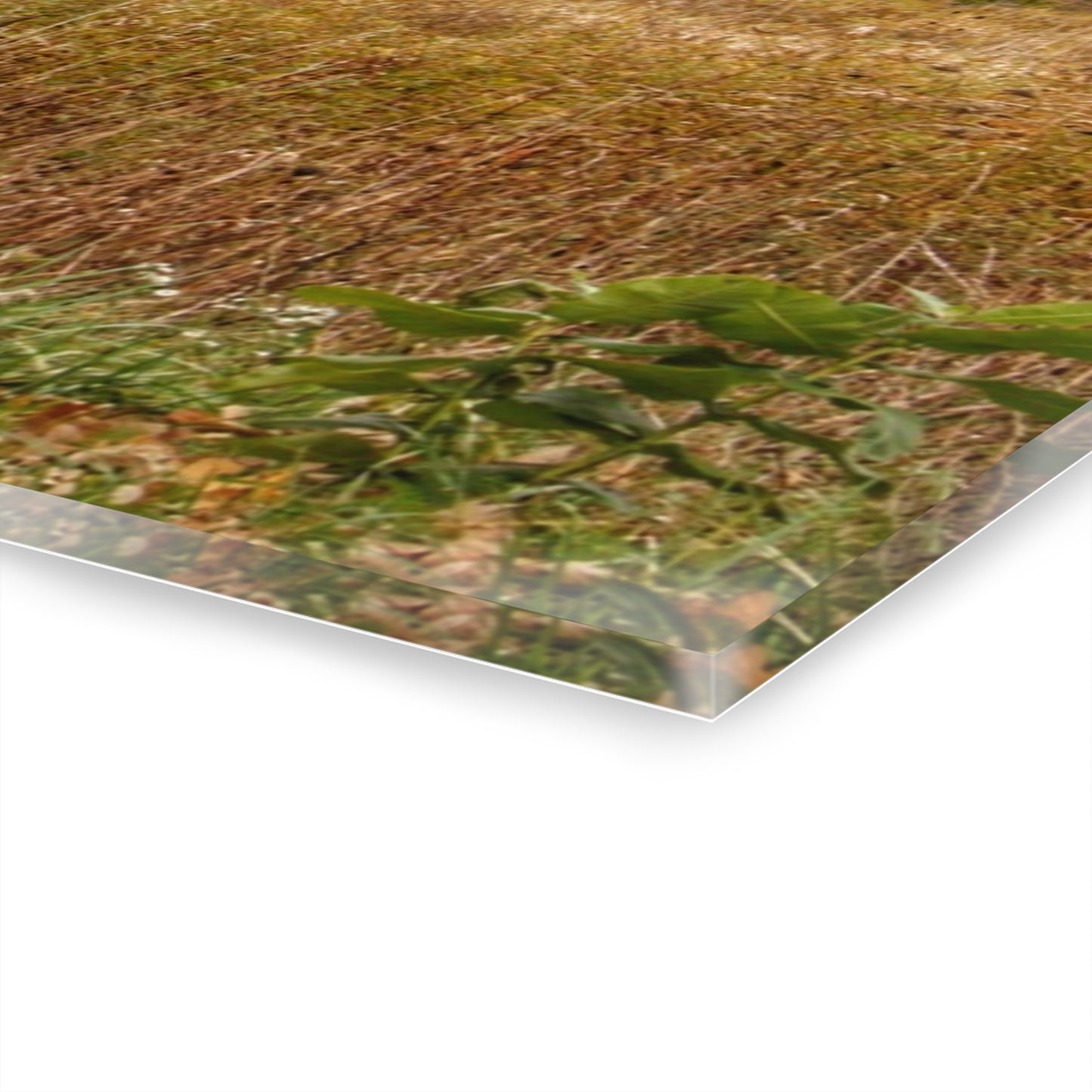 U R There Photography Hill Road Roadside Greys Rustic Farmhouse Acrylic Wall Print