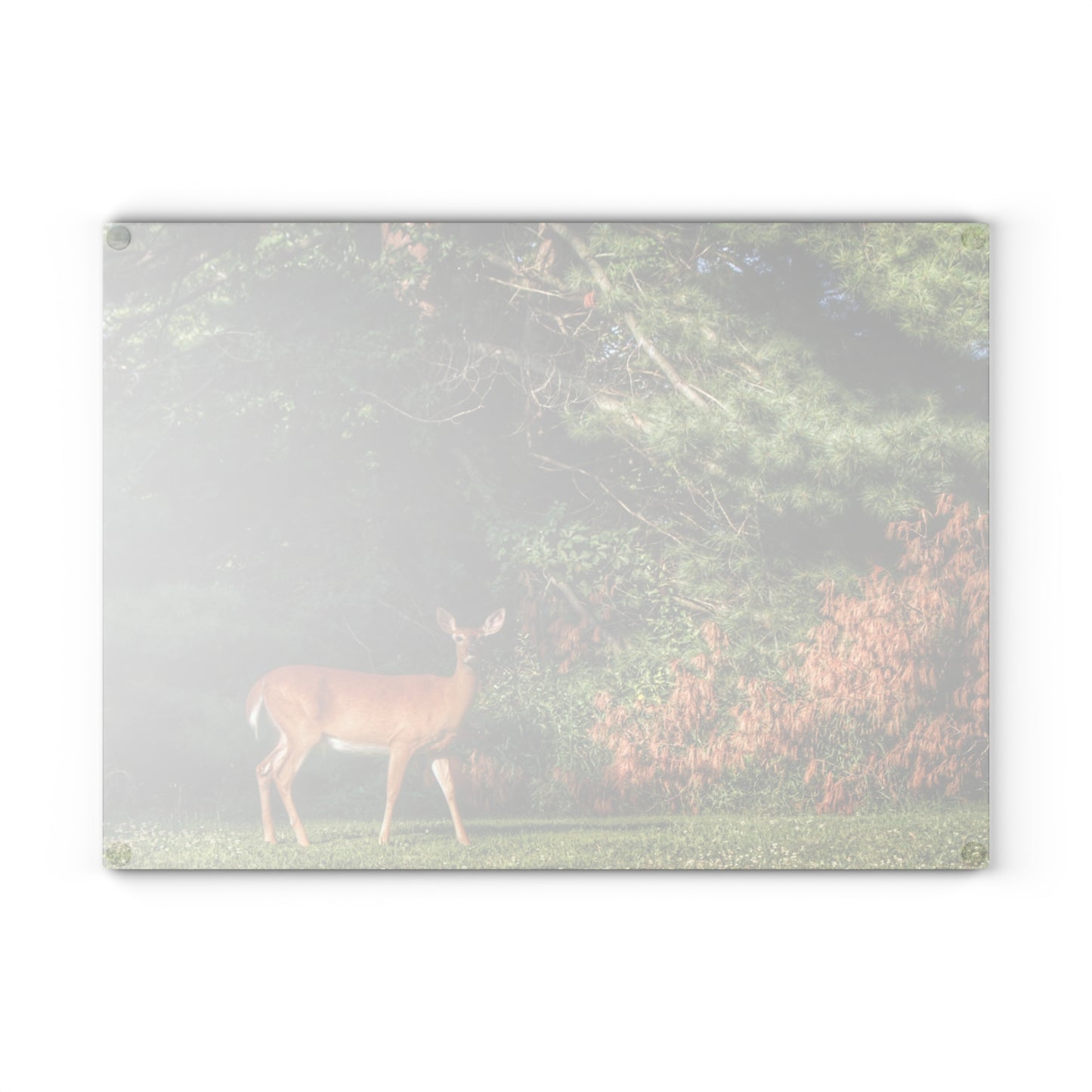 U R There Photography Mitchell Road Doe Rustic Farmhouse Tempered-Glass Cutting Board