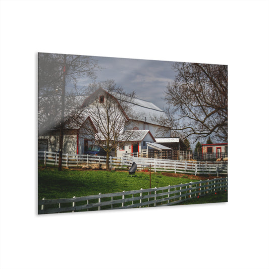 U R There Photography Henderson Whites Rustic Farmhouse Acrylic Wall Print