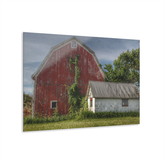 U R There Photography Stanley Road Red in Summer II Rustic Farmhouse Acrylic Wall Print