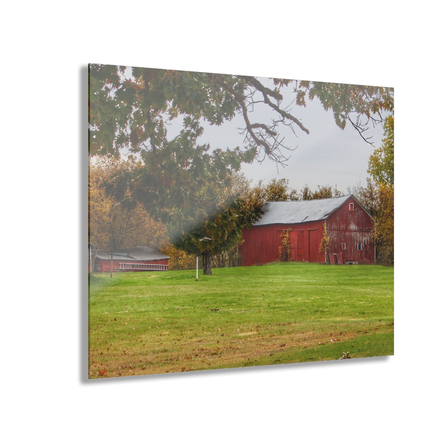 U R There Photography Hill Road Roadside Red Rustic Farmhouse Acrylic Wall Print