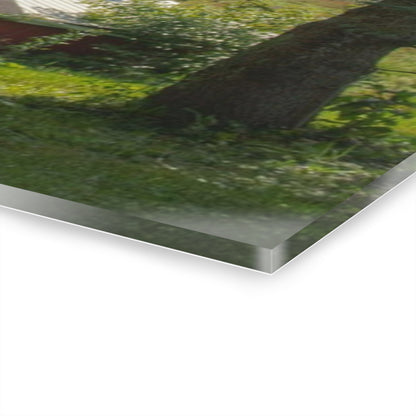 U R There Photography Grey Road Red Rustic Farmhouse Acrylic Wall Print